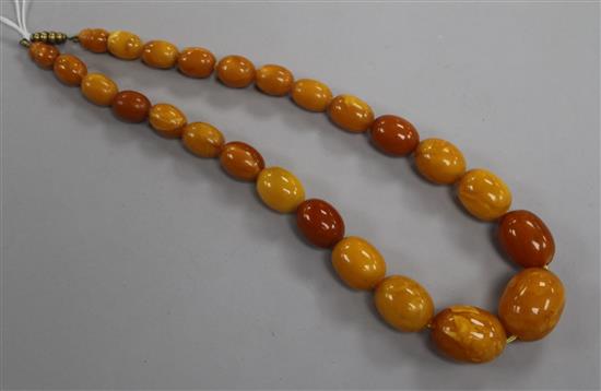 A single strand graduated oval amber necklace with gilt metal clasp, 42cm.